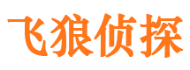 金阳婚外情调查取证